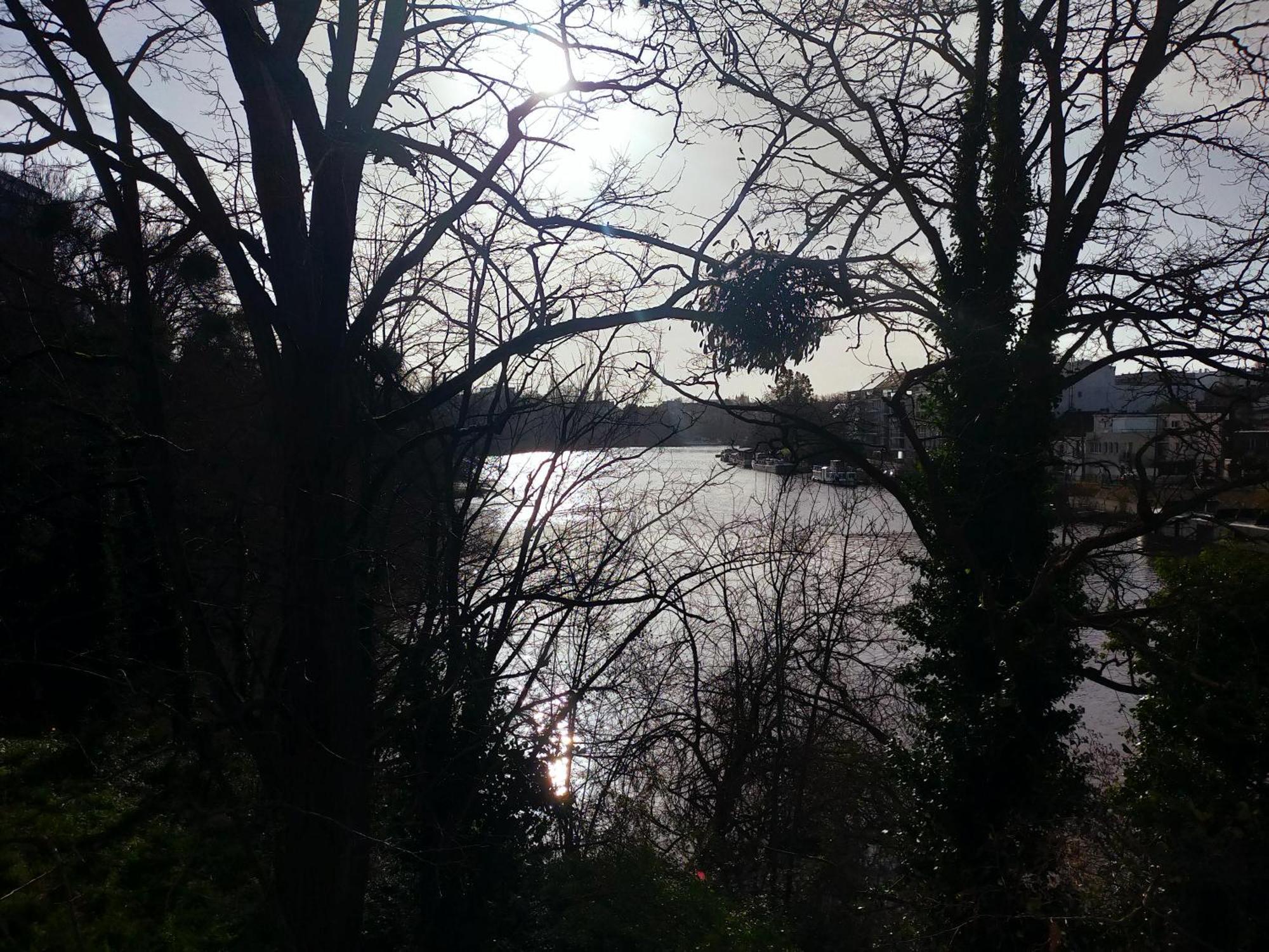L'Arbre Aux Herons - Panoramique Nantes Wifi 외부 사진